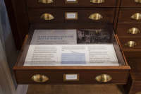 Mary Anning, Lyme Regis, Jurasic coast, Dorset