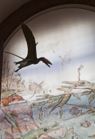 Mary Anning, Lyme Regis, Jurasic coast, Dorset