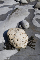 Mary Anning, Lyme Regis, Jurasic coast, Dorset