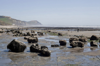 Mary Anning, Lyme Regis, Jurasic coast, Dorset