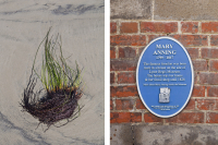 Mary Anning, Lyme Regis, Jurasic coast, Dorset