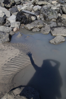 Mary Anning, Lyme Regis, Jurasic coast, Dorset