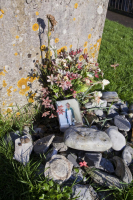 Mary Anning, Lyme Regis, Jurasic coast, Dorset
