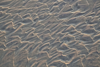 Mary Anning, Lyme Regis, Jurasic coast, Dorset