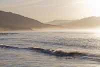 Mary Anning, Lyme Regis, Jurasic coast, Dorset