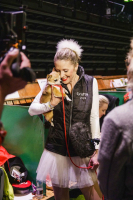 Crufts 2022