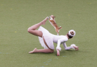Crufts 2022