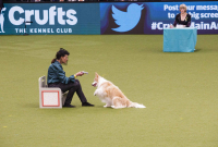 Crufts 2022
