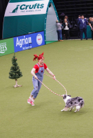 Crufts 2022