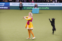Crufts 2022