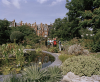 Chelsea Physic Garden