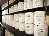 Traditional Shops Mayfair